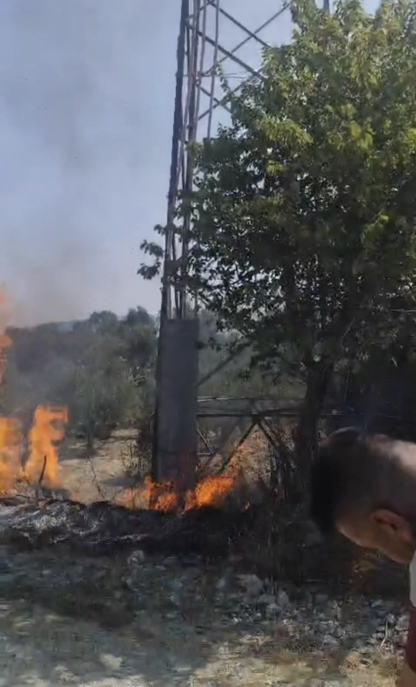 Hatay’da sıcaktan kopan elektrik teli yangına neden oldu