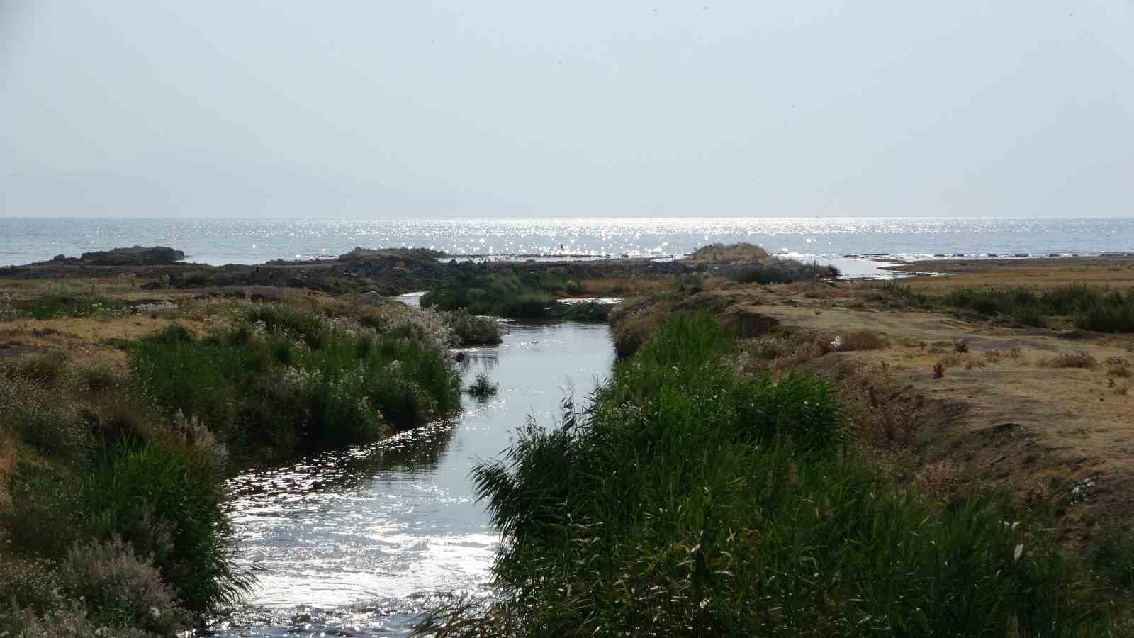 Van Gölü’ndeki kirlilik uydu görüntülerine yansıdı