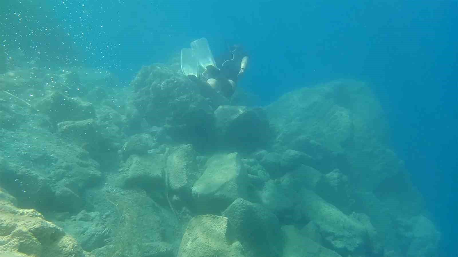 Dünyanın en büyük sodalı gölünde inci kefallerinin sualtı şöleni