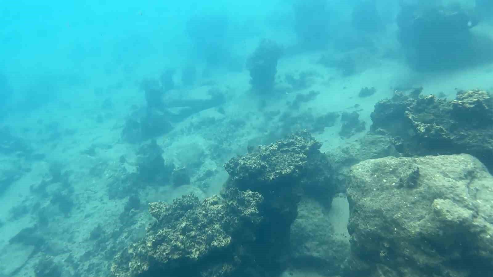 Dünyanın en büyük sodalı gölünde inci kefallerinin sualtı şöleni