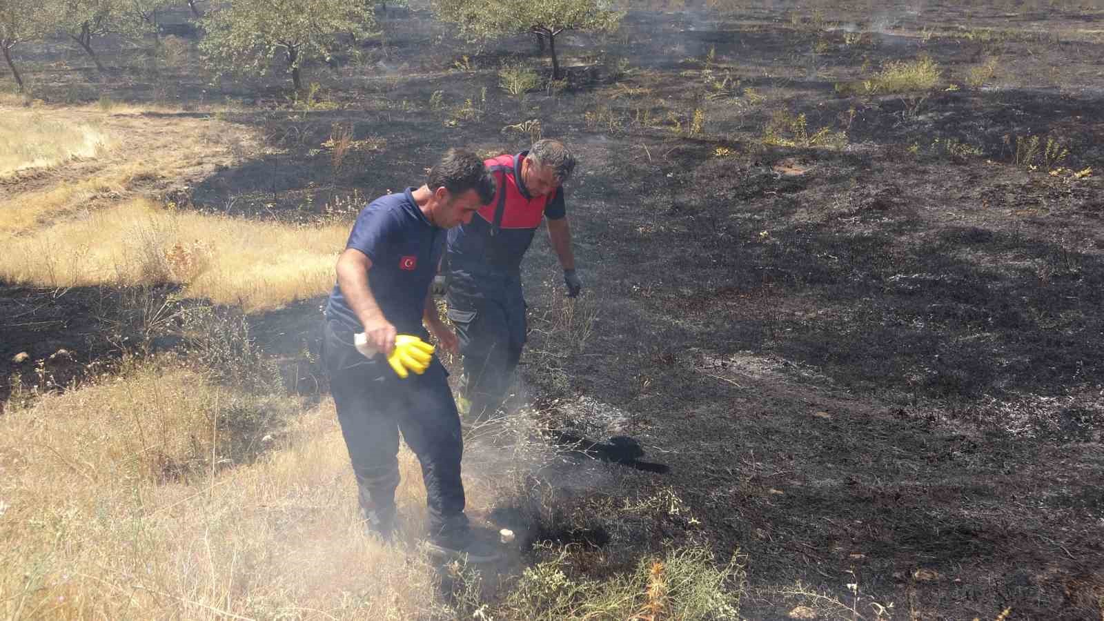 Van’da kuru ot yangını: Yüzlerce dönüm arazi kül oldu
