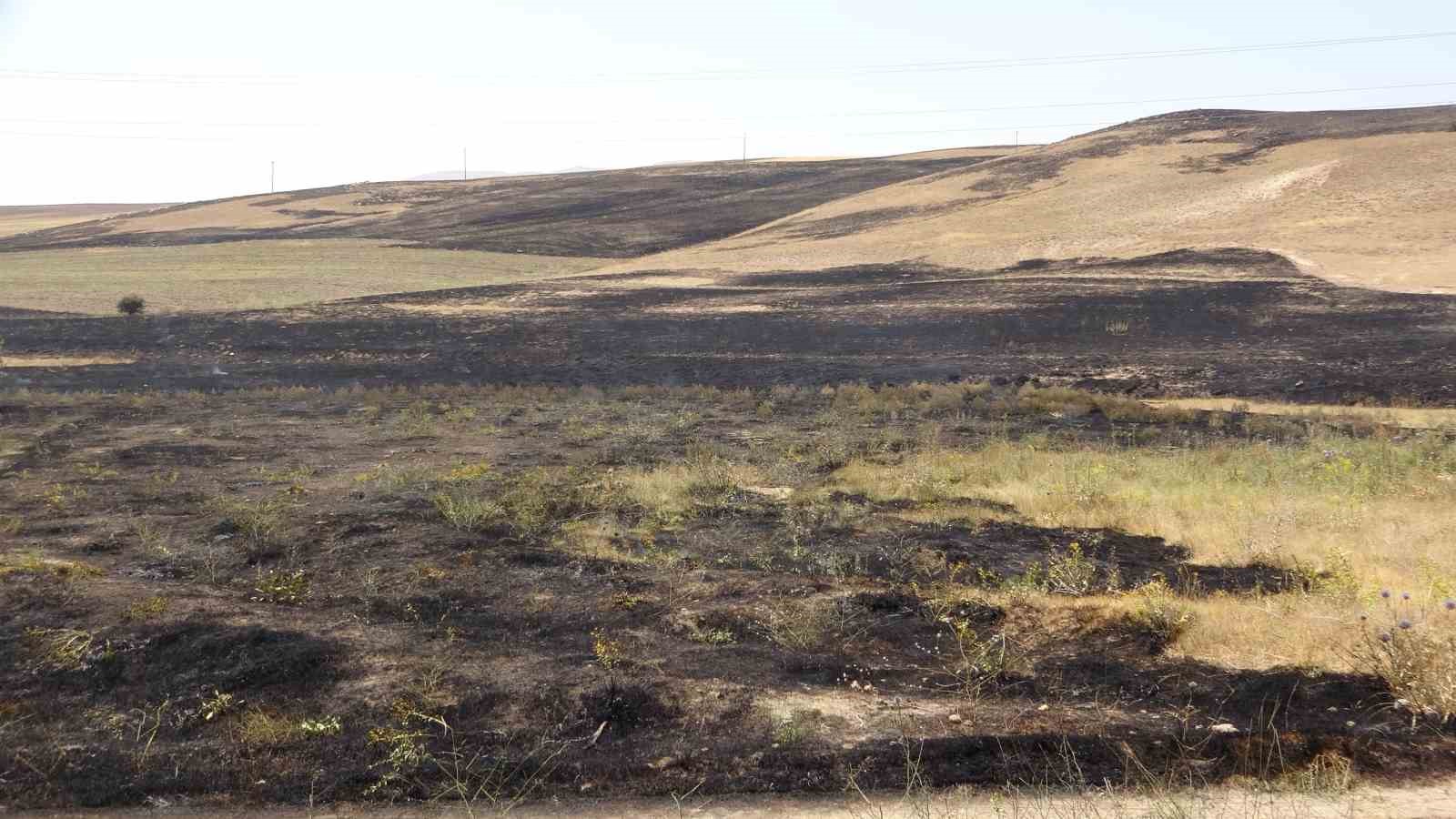 Van’da kuru ot yangını: Yüzlerce dönüm arazi kül oldu