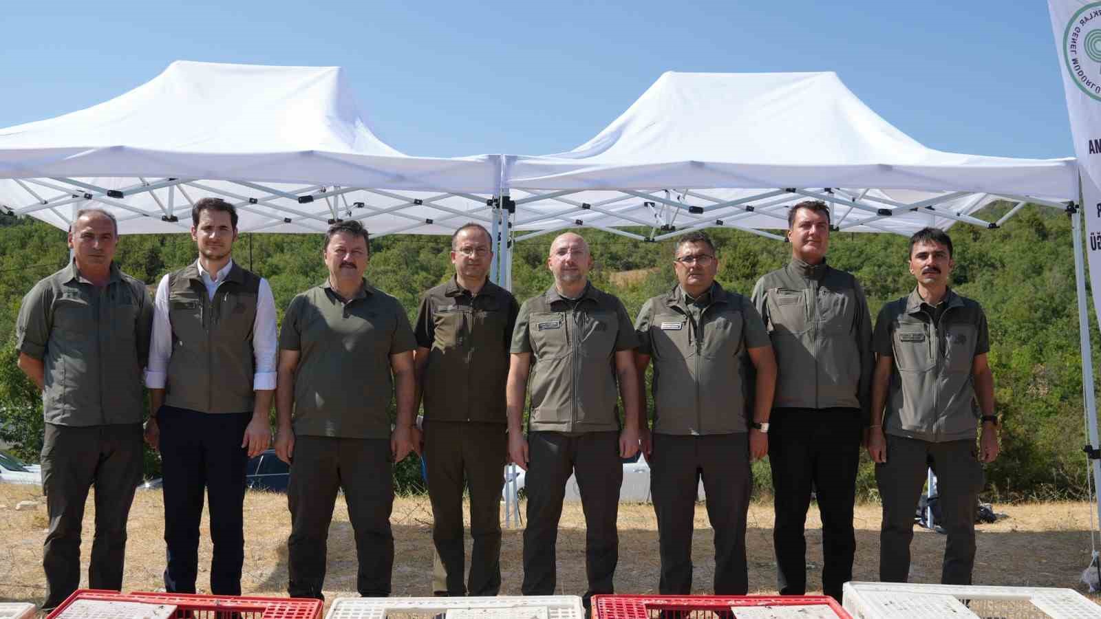 Kenelere karşı mücadele sürüyor: 1 milyona yakın keklik doğaya salındı