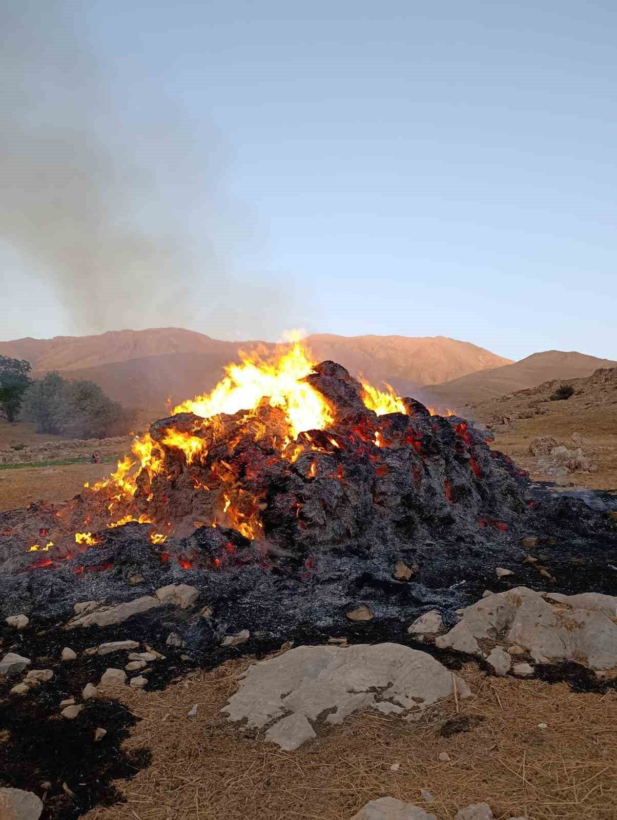 Gevaş’ta ot yangını