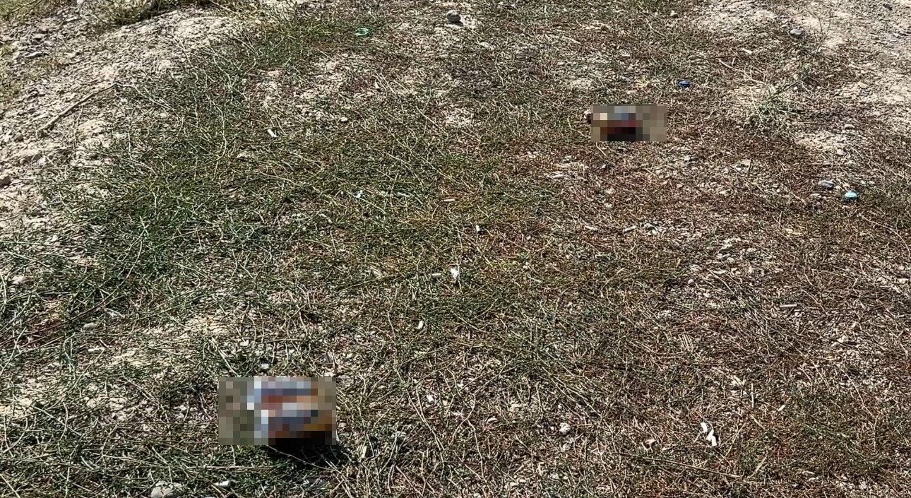 Yüksekova’da mezarlık yanına bırakılan bira şişeleri tepki topladı