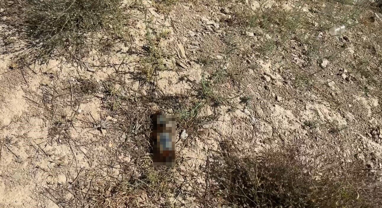 Yüksekova’da mezarlık yanına bırakılan bira şişeleri tepki topladı