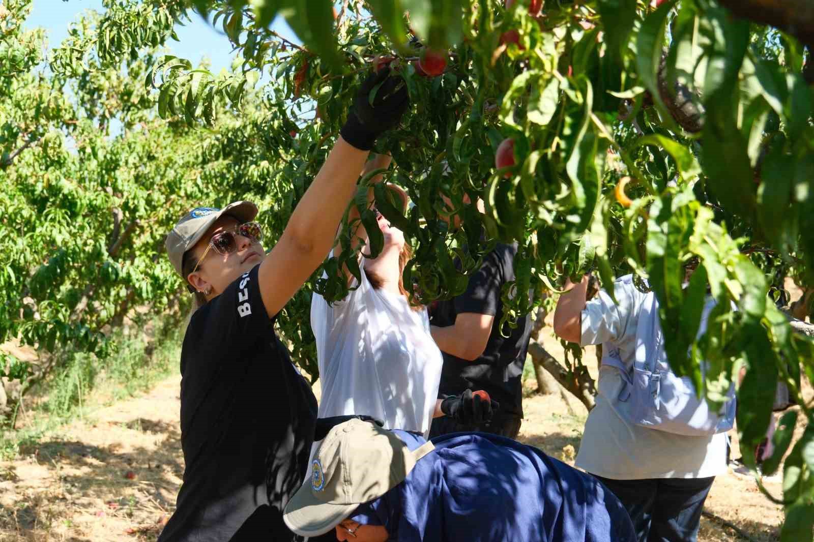Şeftalinin 120 çeşidiyle ’koleksiyon bahçesi’ oluşturdular