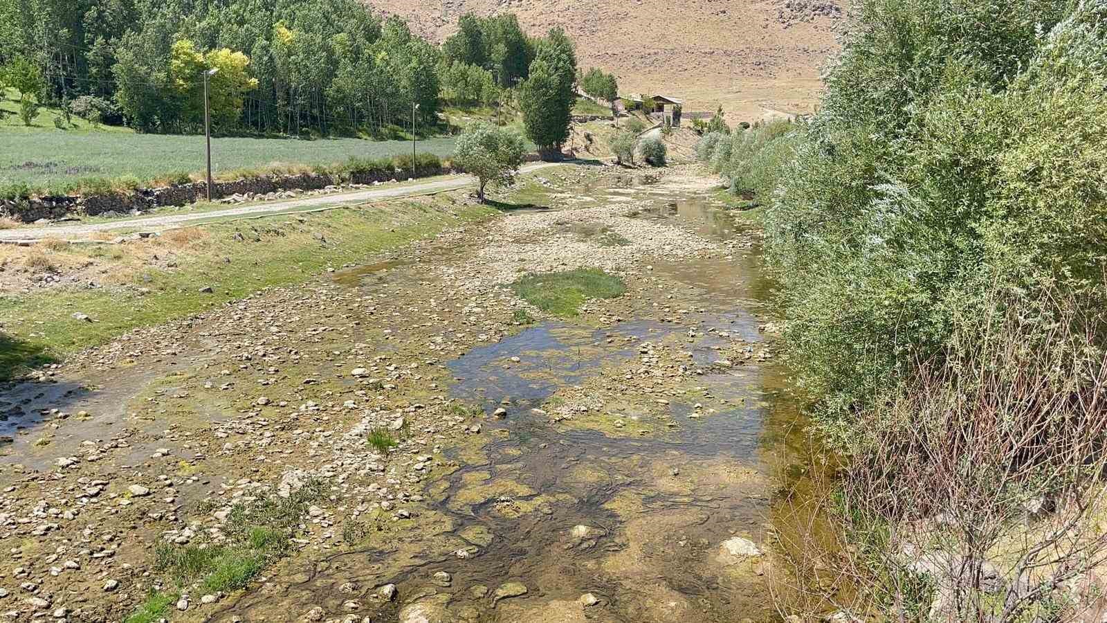 Muradiye Bendimahi Çayı’nda su seviyesi düştü: Siraz balığı yavruları tehlikede