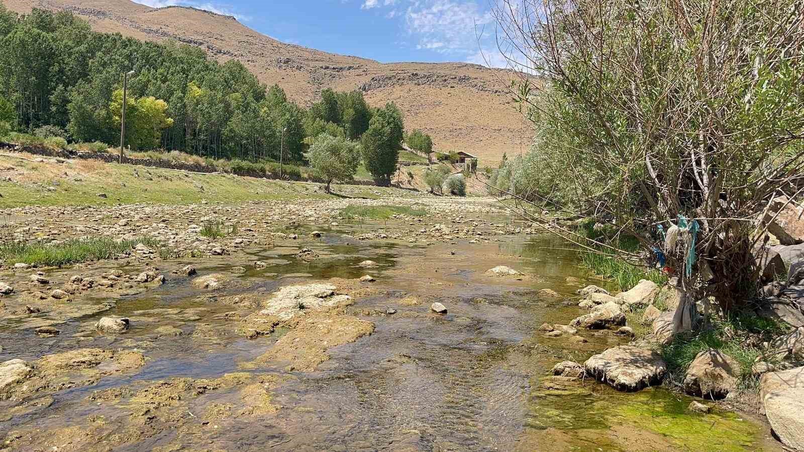 Muradiye Bendimahi Çayı’nda su seviyesi düştü: Siraz balığı yavruları tehlikede