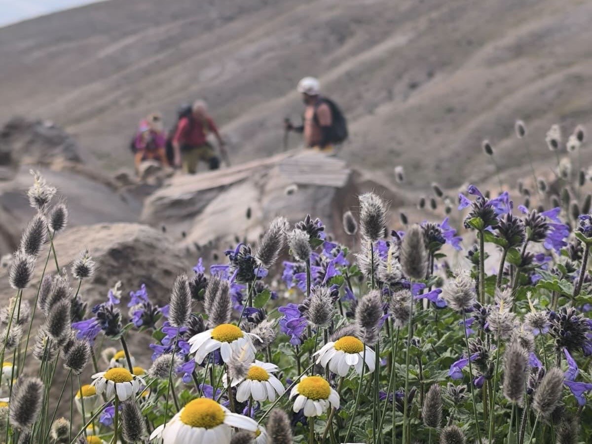 Vanlı dağcılar 7 günde Türkiye’nin en yüksek üç zirvesine çıktı