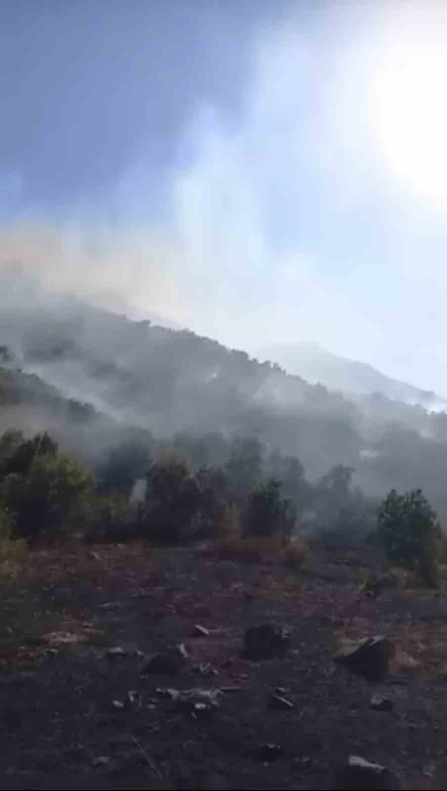 Yüksekova Dağlıca köyünde orman yangını