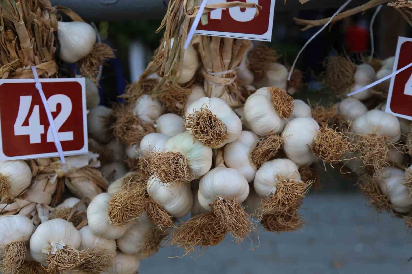 Tarım ve Orman Bakanı Yumaklı’dan vatandaşlara çağrı