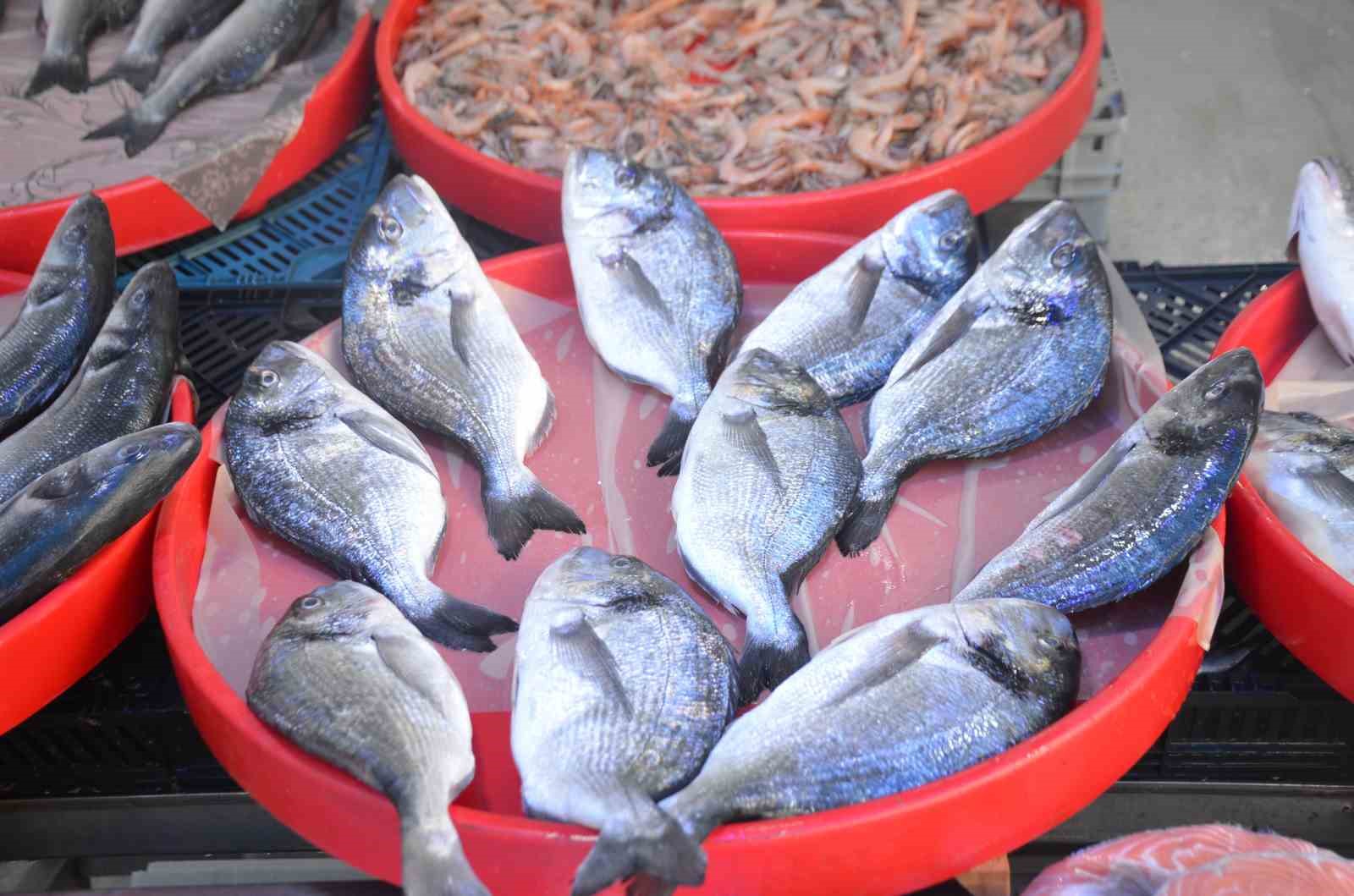 Bu yıl tezgâhların şampiyonu sardalya