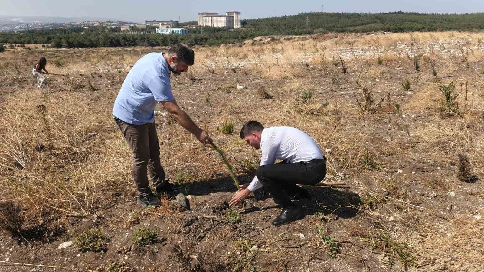 Sigarayı bırakan vatandaşlar fidan dikimi gerçekleştirdi