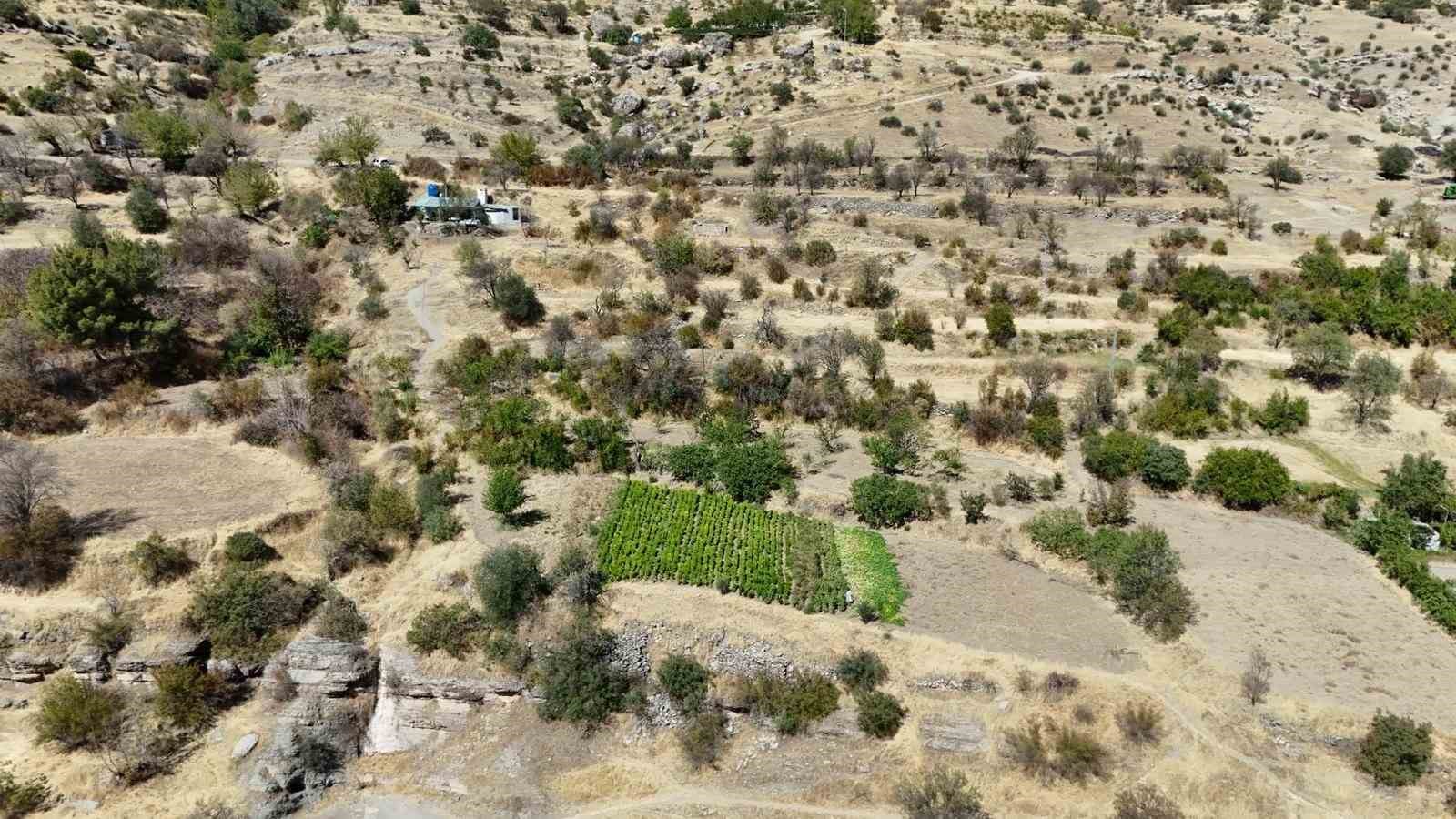 Eşi emekli olduktan sonra köyüne yerleşen girişimci kadın, acı ve tatlıyı bir araya getirdi