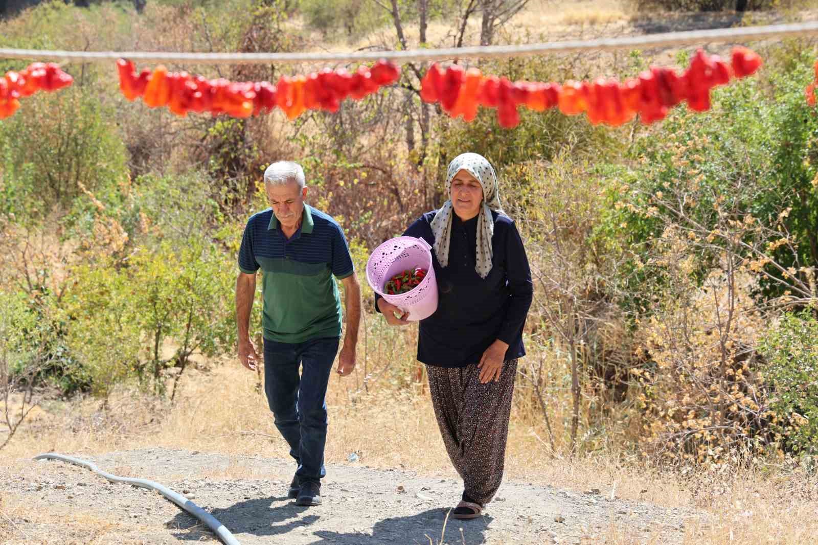 Eşi emekli olduktan sonra köyüne yerleşen girişimci kadın, acı ve tatlıyı bir araya getirdi