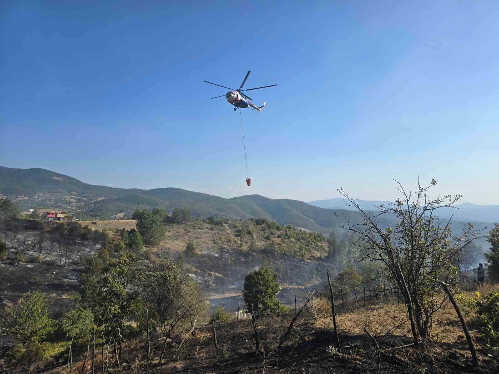 Ormanda piknik keyfi, faciaya sebep oluyordu...