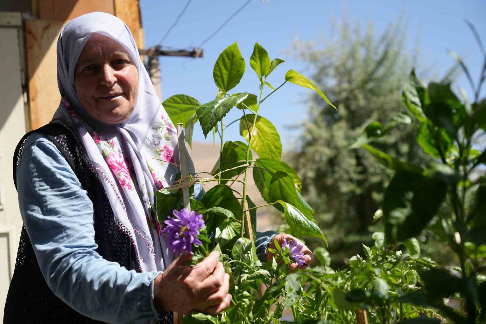 44 yıldır kiracısı olduğu eve gözü gibi bakıyor: 