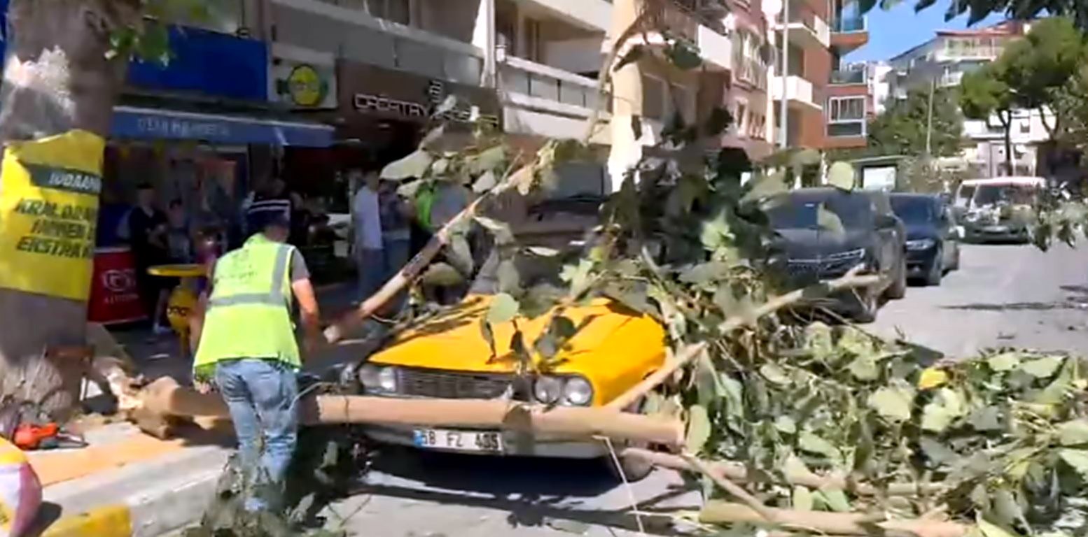 Söke’de ağaç dalı park halindeki aracın üzerine düştü