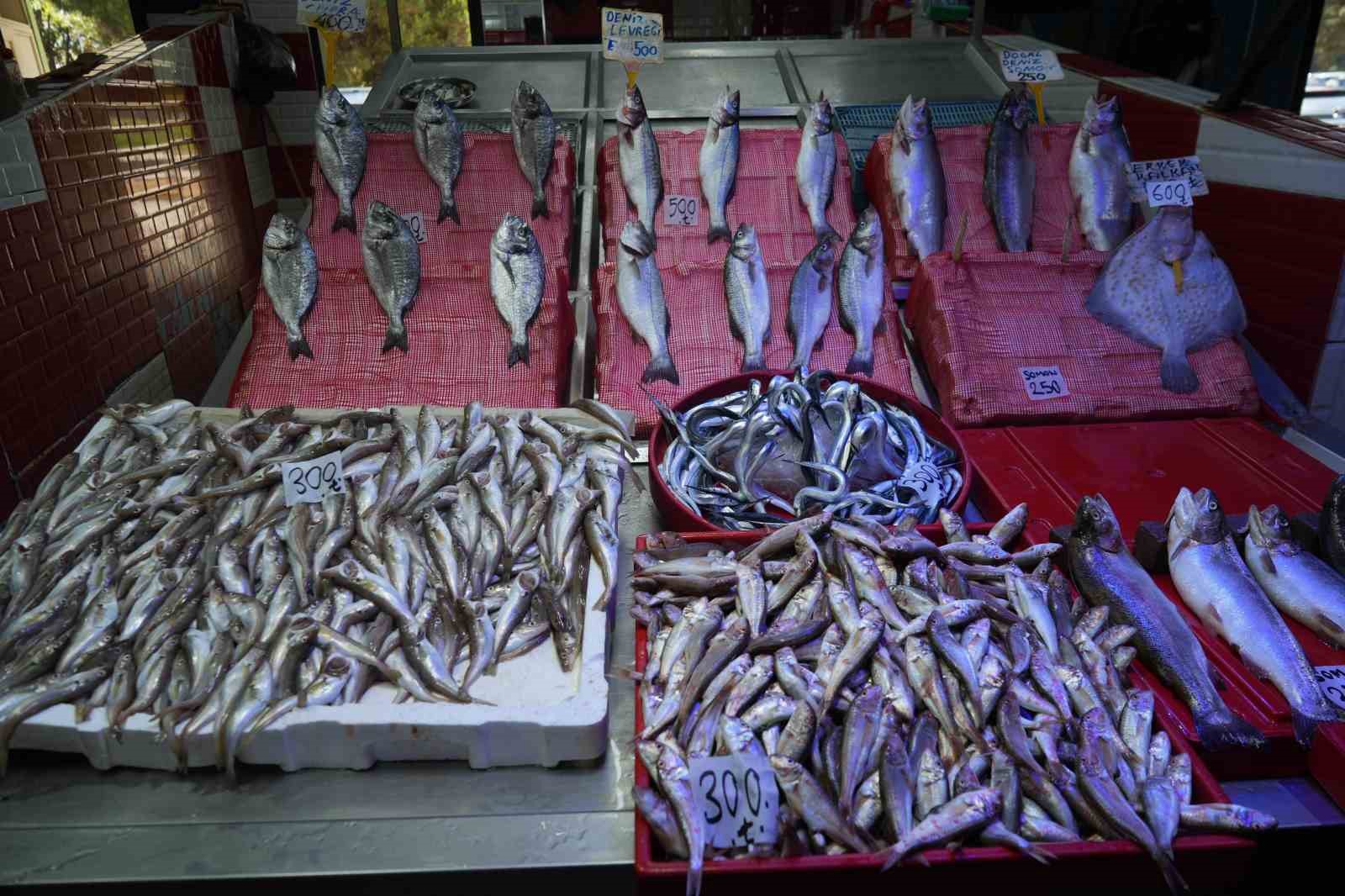 Sezonun ilk balıkları tezgahlarda