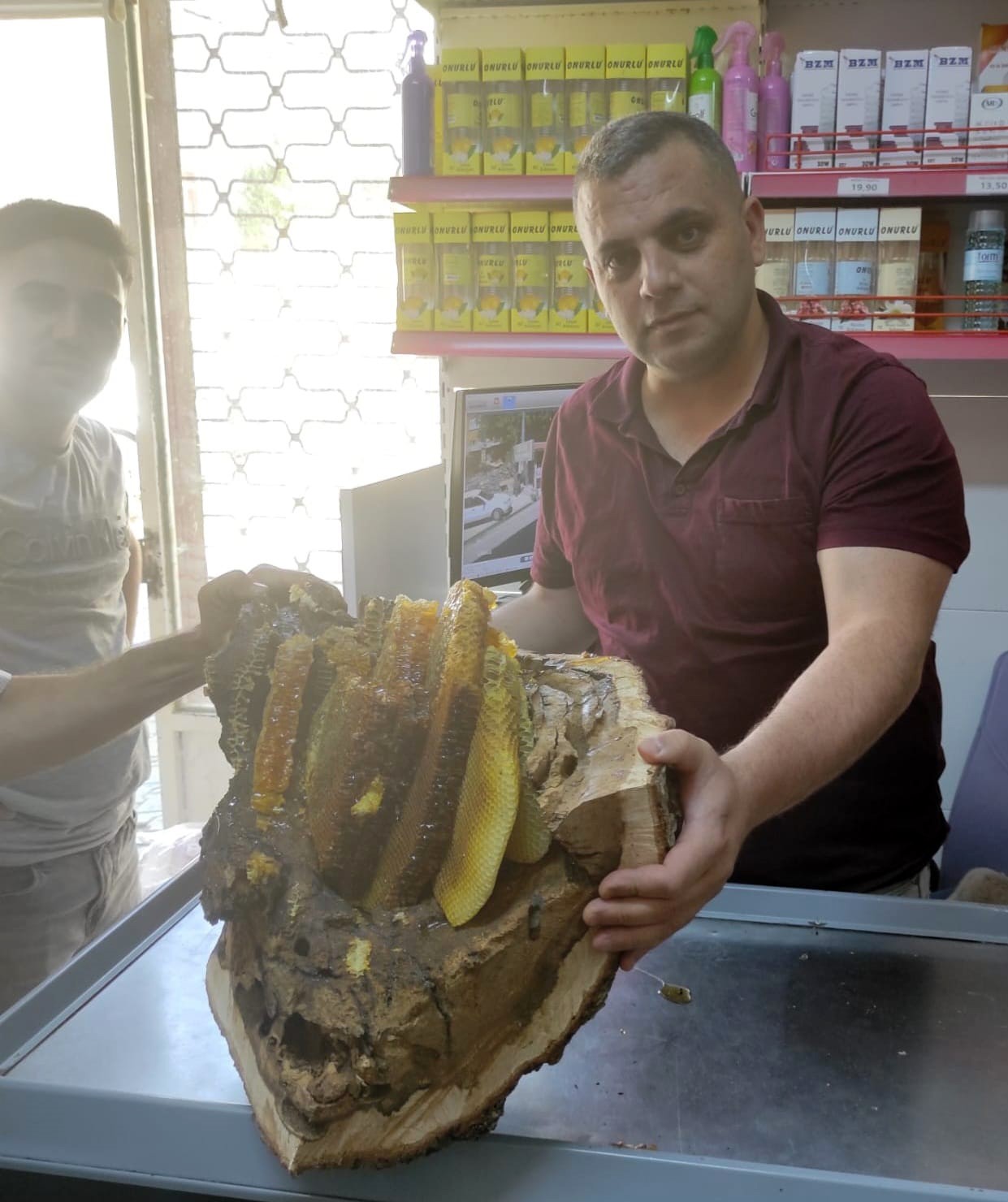Elazığ’da mağara ve ağaç kovuğundan kilo kilo organik bal çıktı