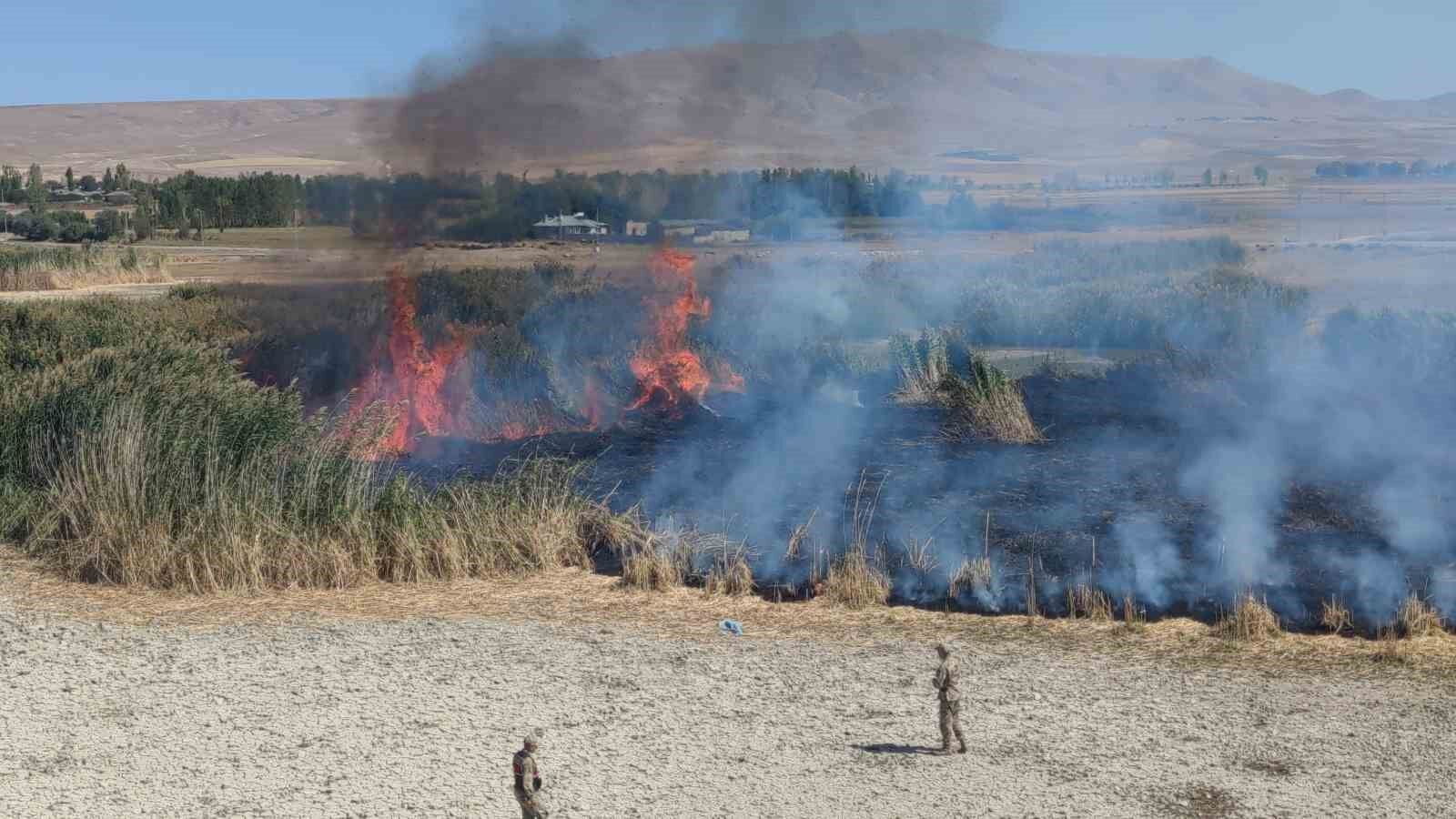 Göçmen kuşların yuvası alevlere teslim oldu