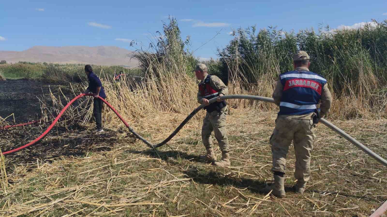 Göçmen kuşların yuvası alevlere teslim oldu