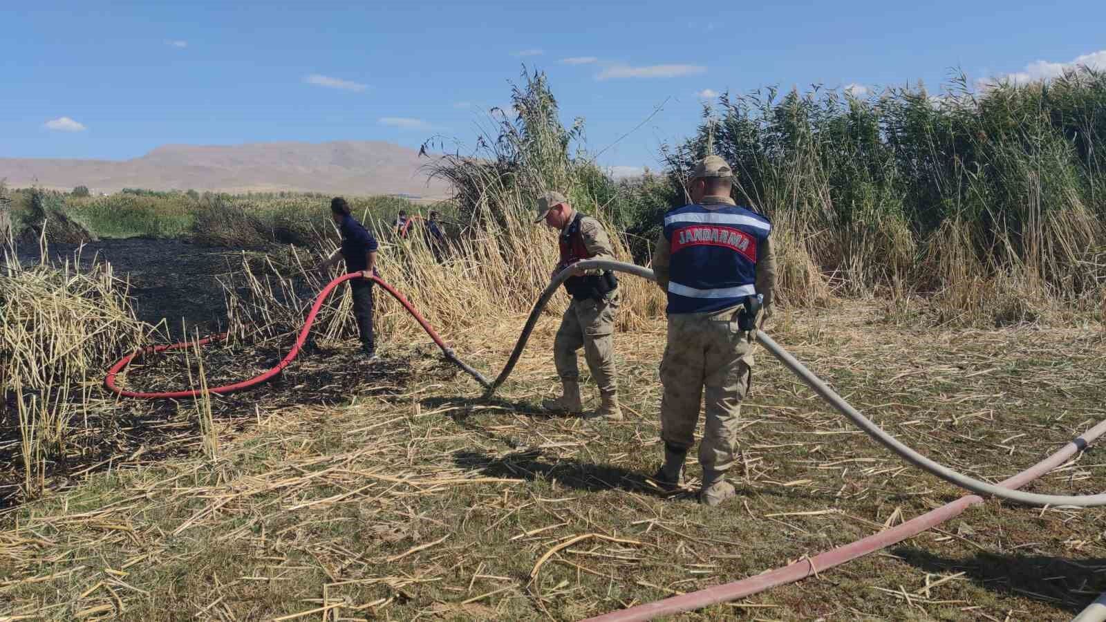 Göçmen kuşların yuvası alevlere teslim oldu