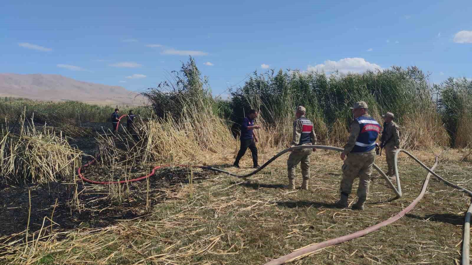 Göçmen kuşların yuvası alevlere teslim oldu