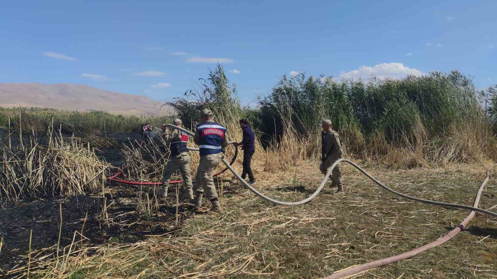 Göçmen kuşların yuvası alevlere teslim oldu