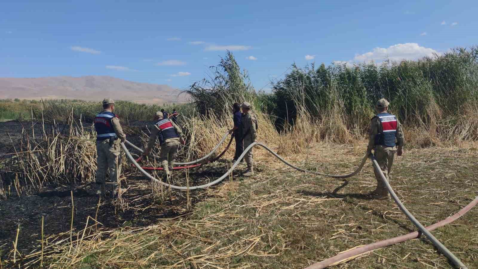Göçmen kuşların yuvası alevlere teslim oldu