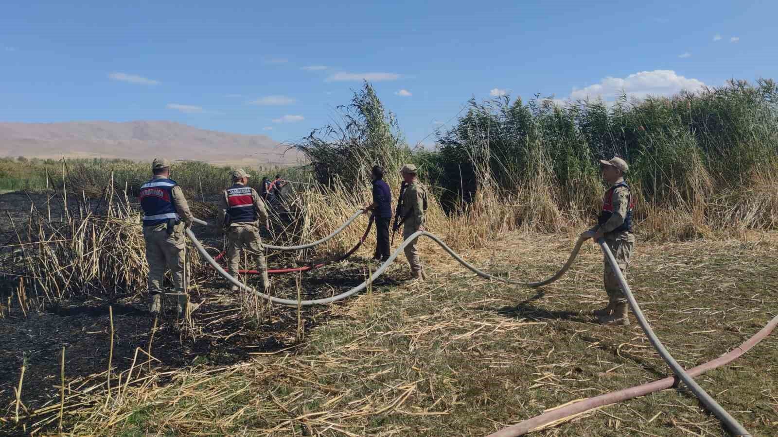 Göçmen kuşların yuvası alevlere teslim oldu