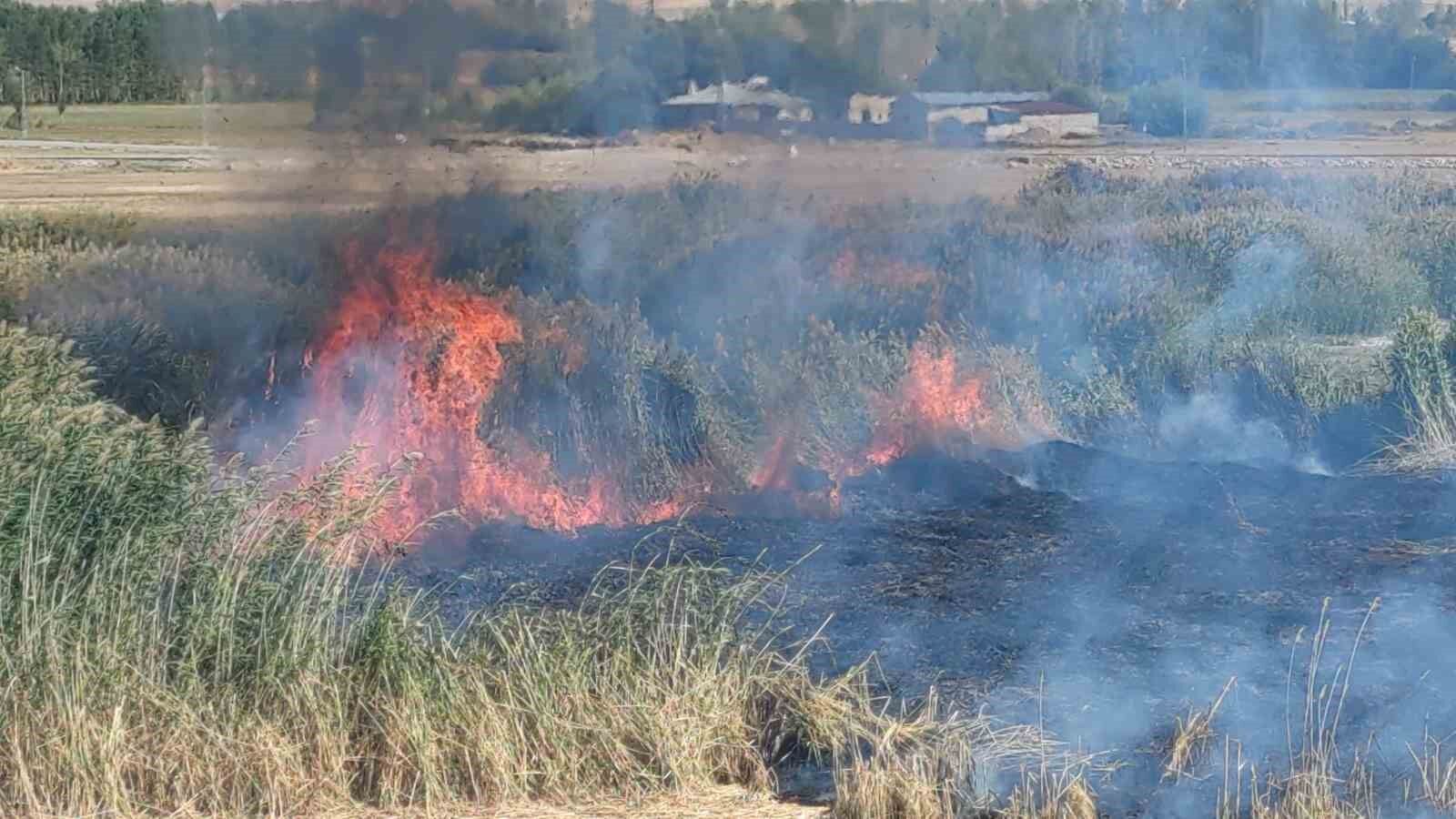 Göçmen kuşların yuvası alevlere teslim oldu