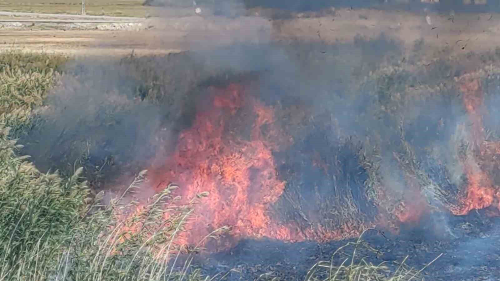 Göçmen kuşların yuvası alevlere teslim oldu