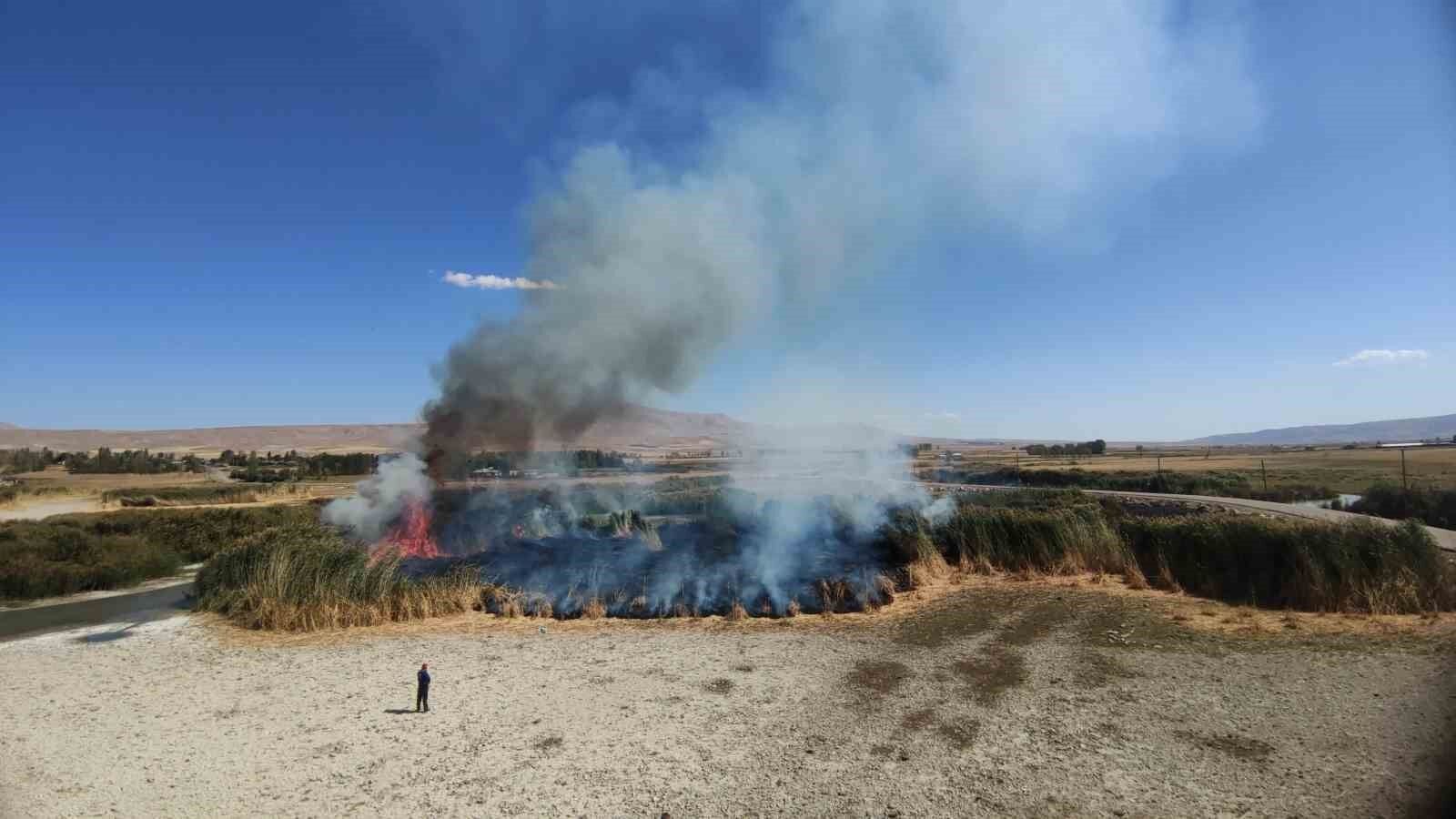 Göçmen kuşların yuvası alevlere teslim oldu