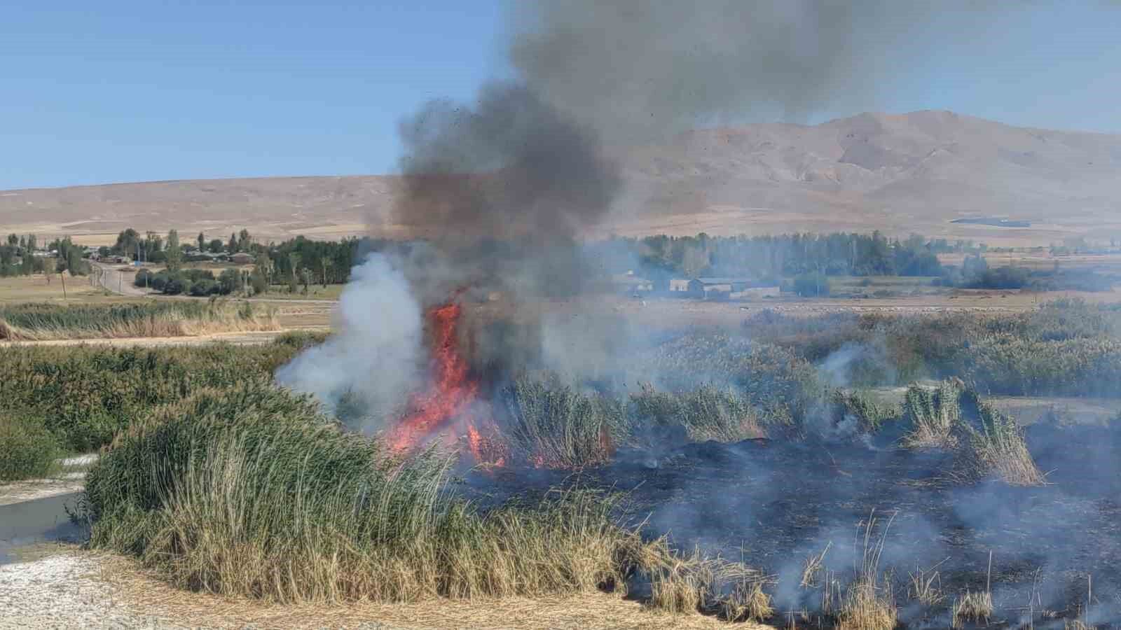 Göçmen kuşların yuvası alevlere teslim oldu