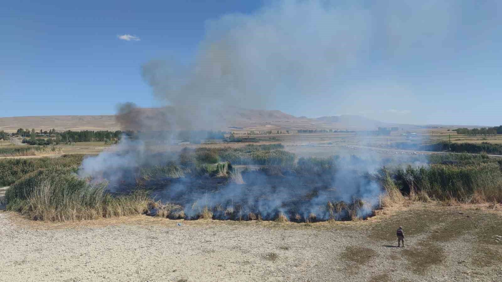 Göçmen kuşların yuvası alevlere teslim oldu