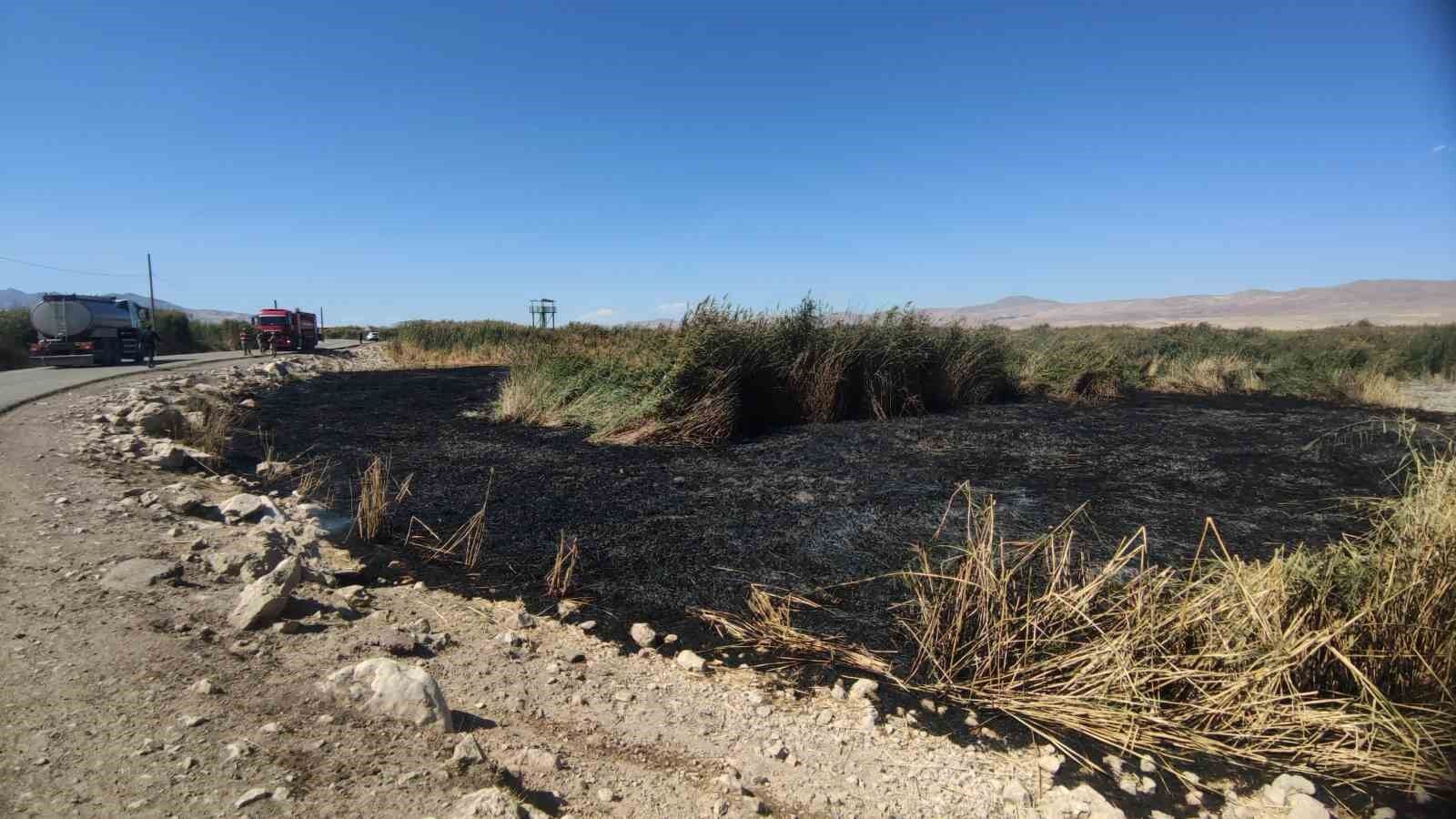 Göçmen kuşların yuvası alevlere teslim oldu