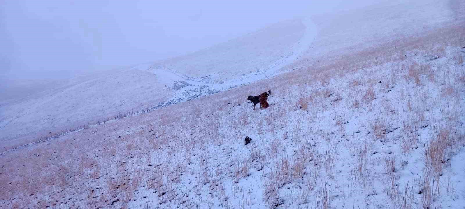 Ağrı’da yüksek kesimlere mevsimin ilk karı düştü