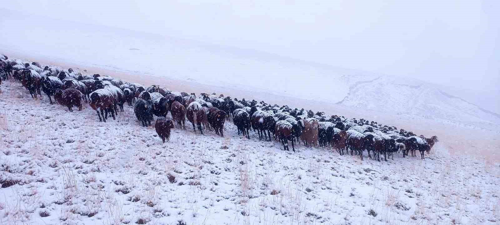 Ağrı’da yüksek kesimlere mevsimin ilk karı düştü