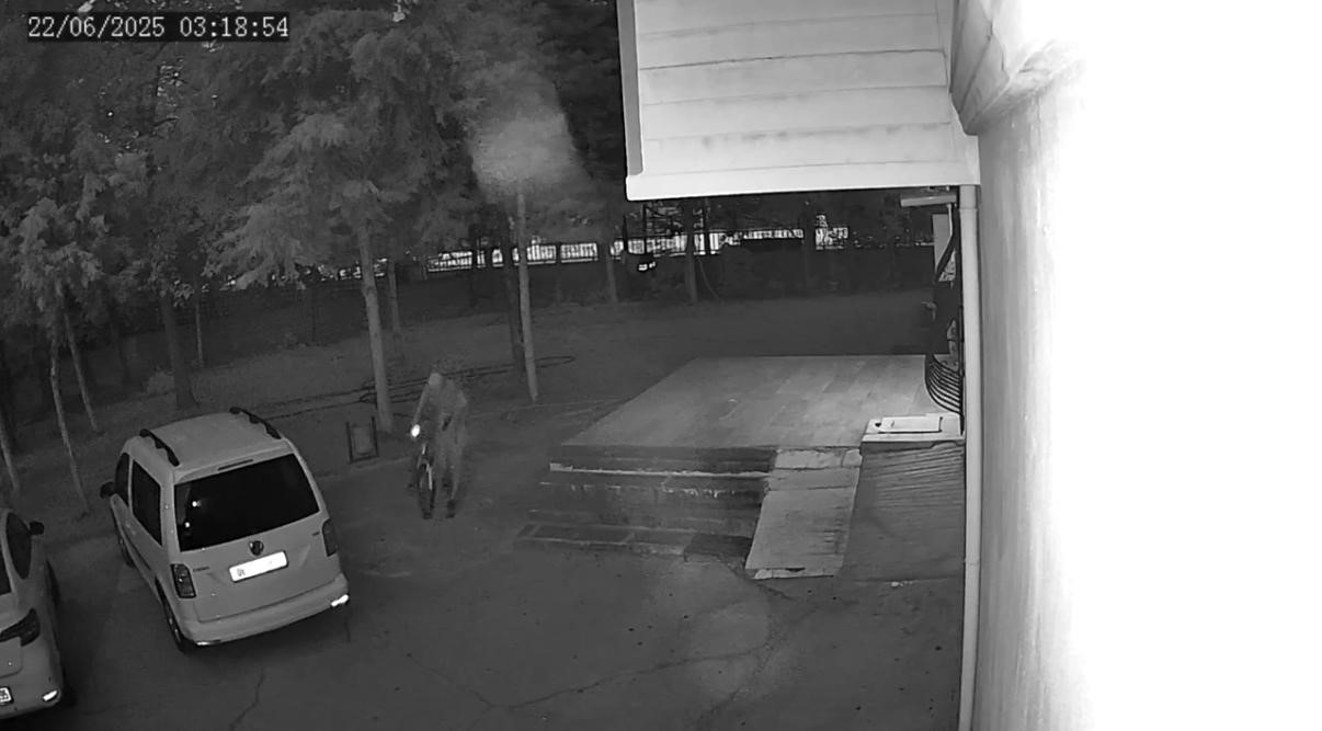 Diyarbakır’da mahalleye musallat olan hırsızlara ’Zincir Operasyonu’: 5 tutuklama