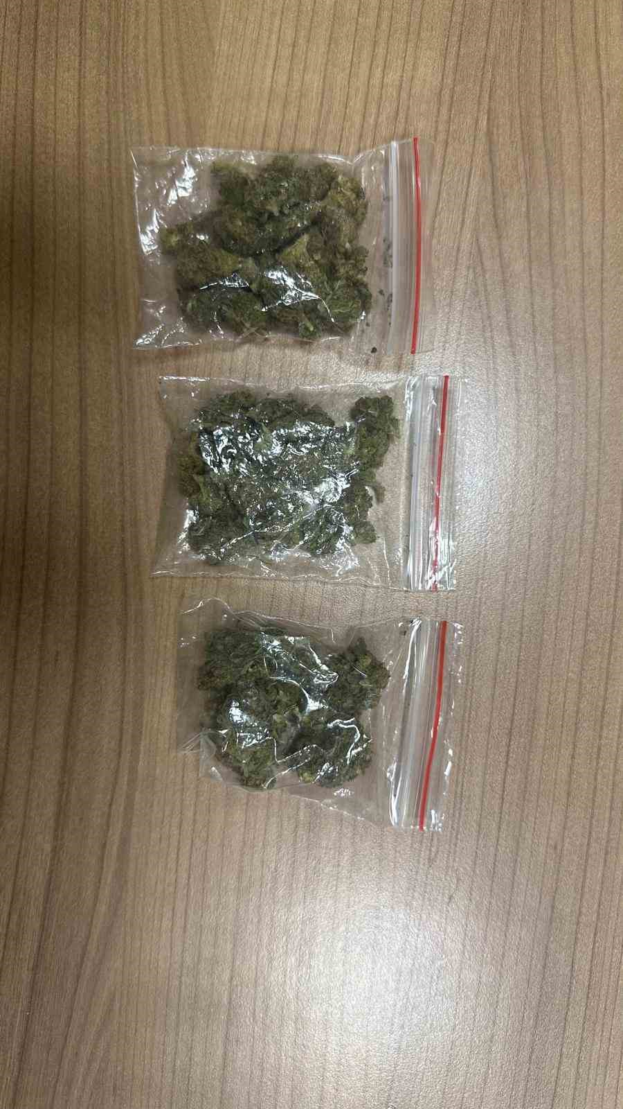 Van’da ‘torbacı’ operasyonu