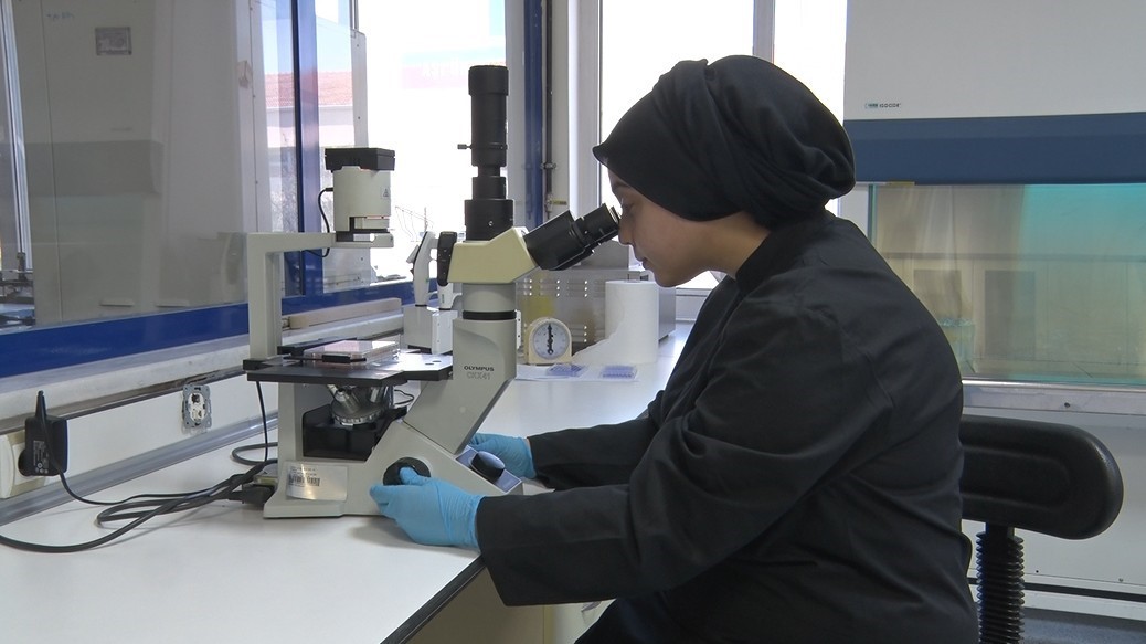 Şap hastalığı ile mücadelede üretilen aşılar hem Türkiye’ye hem de komşu ülkelere deva oluyor