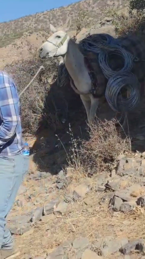 Uludere’de zorlu kaya ıslahı: Malzemeler katırlarla zirveye taşınıyor