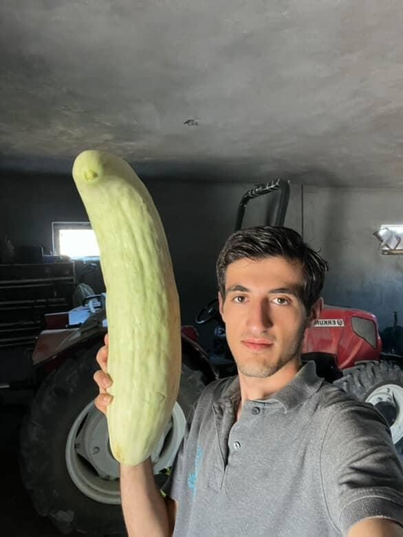 Elazığ’da 4,5 kiloluk dev acur hayrete düşürdü