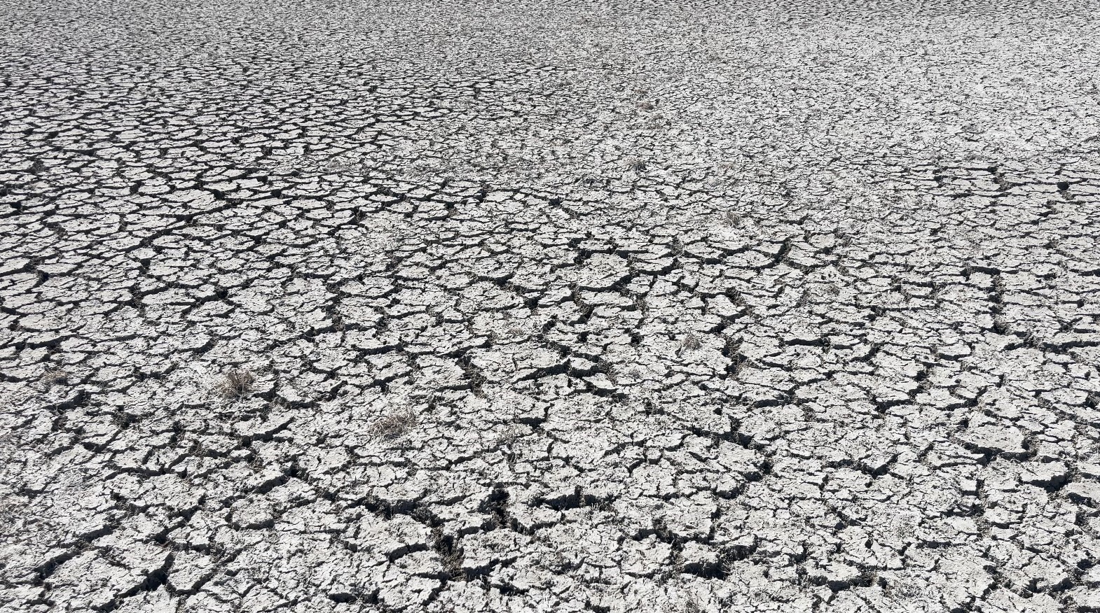 Türkiye’nin 4’üncü büyük gölü kuraklık nedeniyle ortadan ikiye bölündü