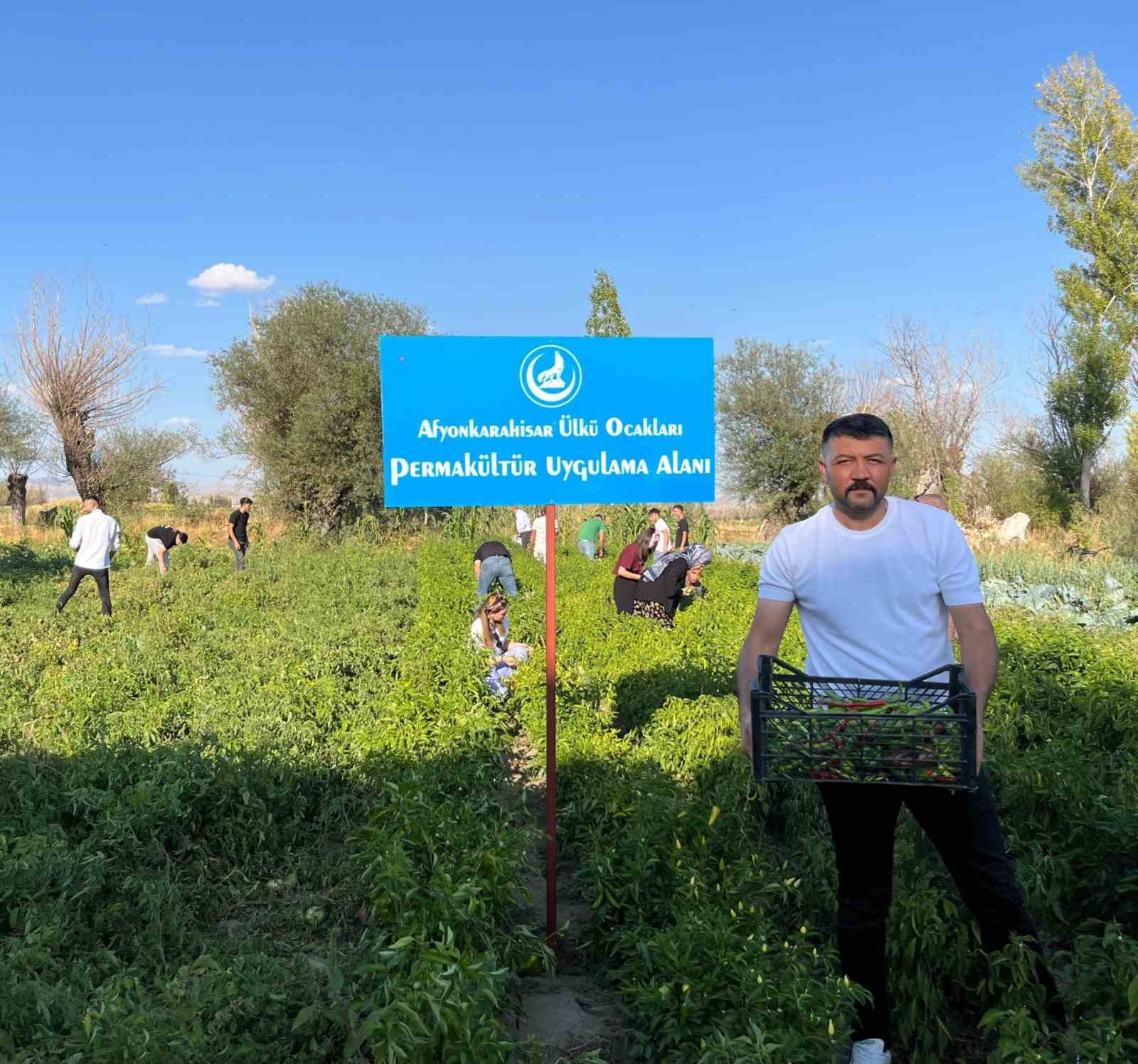 100 yılık ata tohumuyla ilk hasat yapıldı