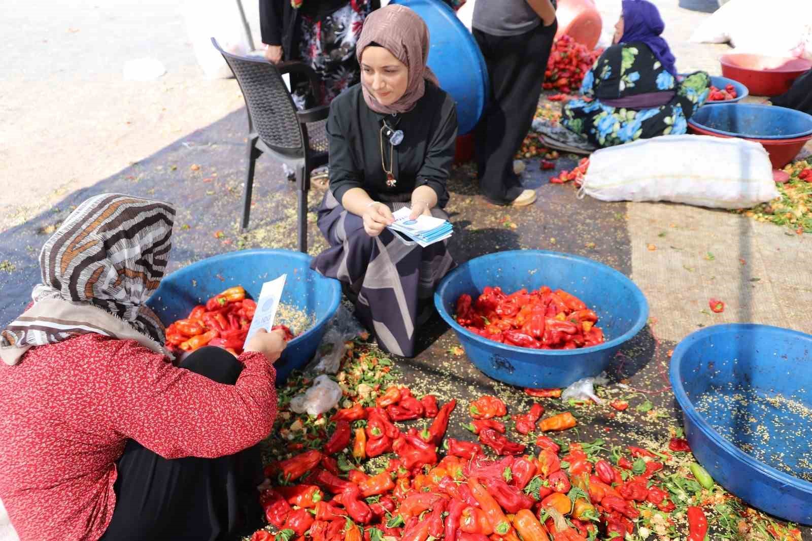 Şanlıurfa’da mevsimlik tarım işçilerine mobil sağlık hizmeti