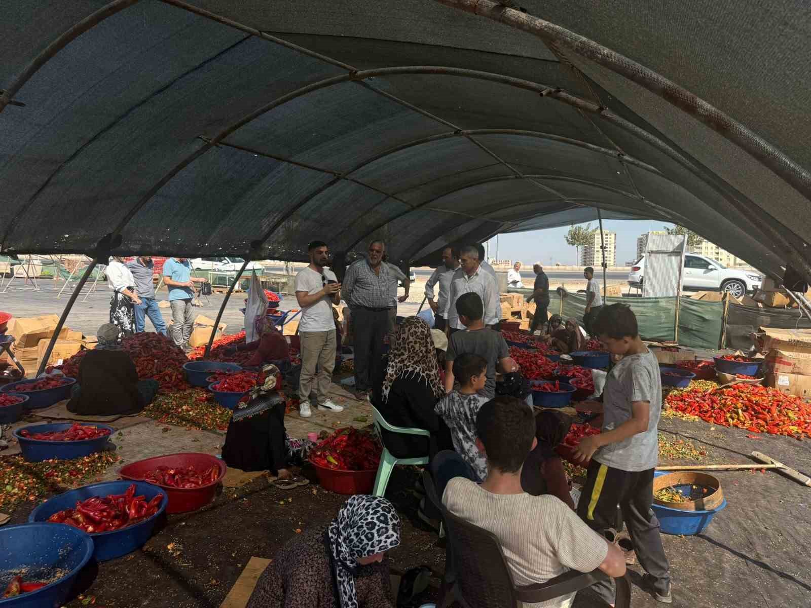 Şanlıurfa’da mevsimlik tarım işçilerine mobil sağlık hizmeti