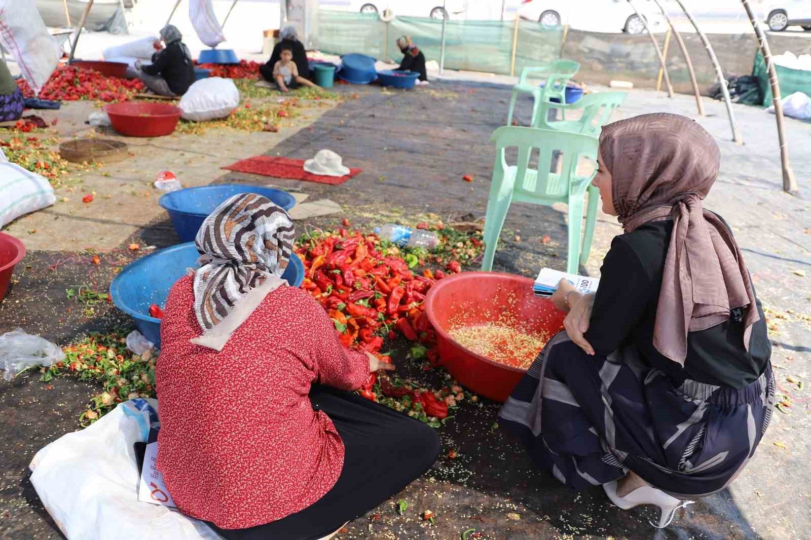 Şanlıurfa’da mevsimlik tarım işçilerine mobil sağlık hizmeti